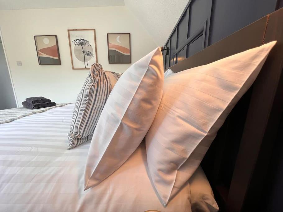 Villa Little Hill - A Hidden Gem Salcombe Esterno foto